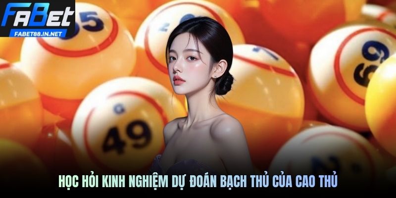 Học hỏi kinh nghiệm dự đoán bạch thủ của cao thủ