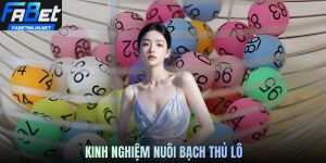 Kinh Nghiệm Nuôi Bạch Thủ Lô Giúp Bạn Tăng Cơ Hội Thắng