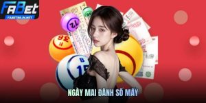 Giải Mã Câu Ngày Mai Đánh Số Mấy Cực Chuẩn Cho Người Mới